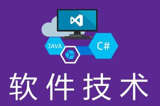湖南中专软件技术专业对口升学路径 单招学校与金融服务外包机遇